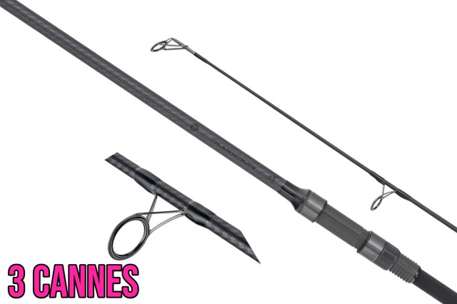 M-ROSCO-Title.93840825.1763735637 (1) (1)